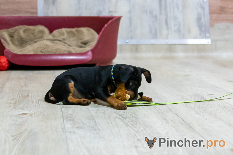 EK044728