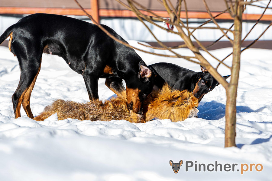 EK050109