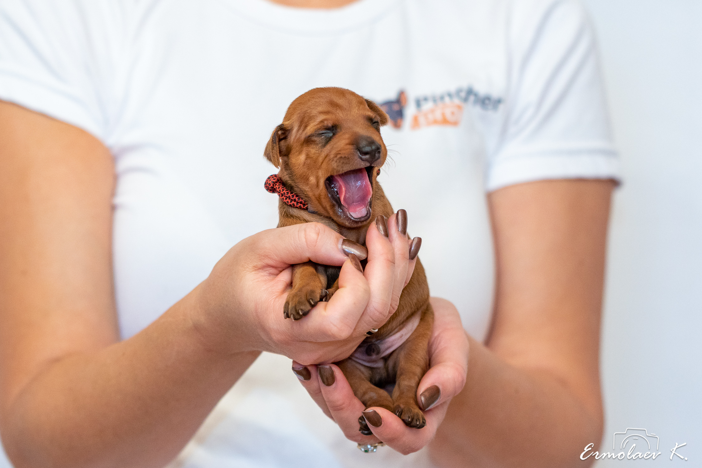 EK065206