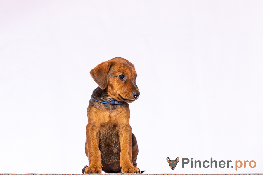 EKA22114