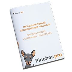 Ветеринарный паспорт