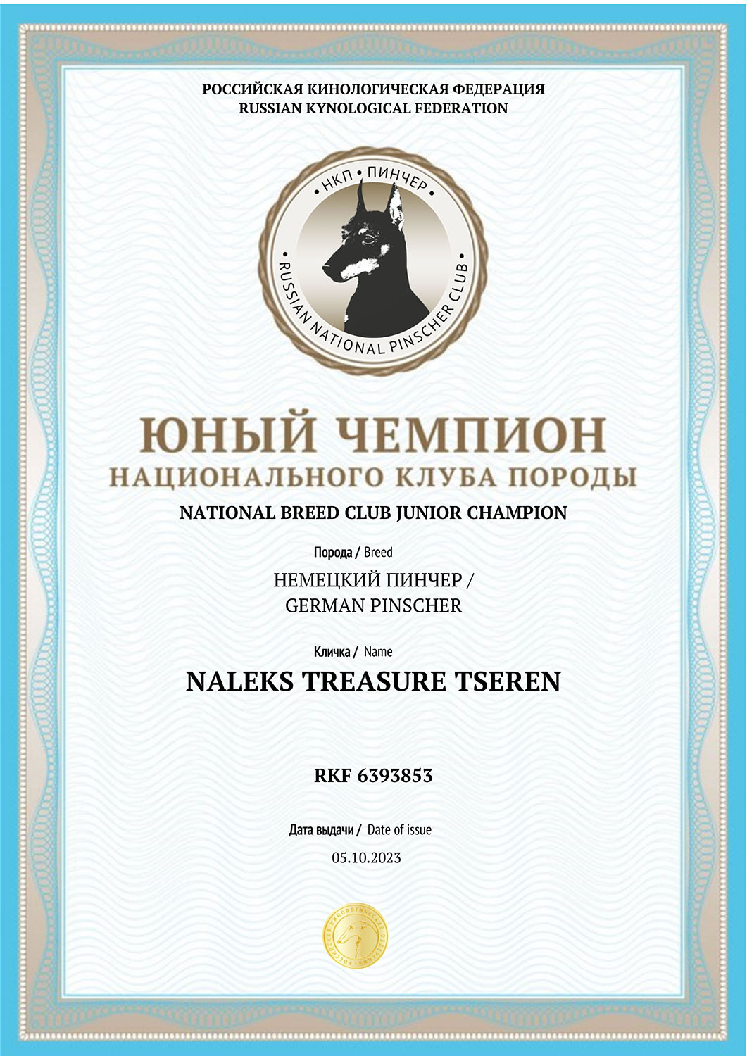 JChNKP 6393853