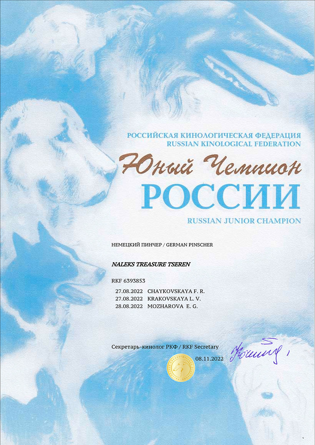 JChRUS 6393853