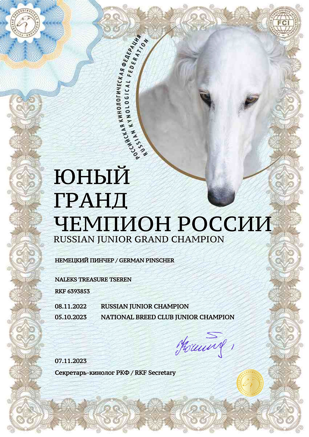 JGChRUS 6393853