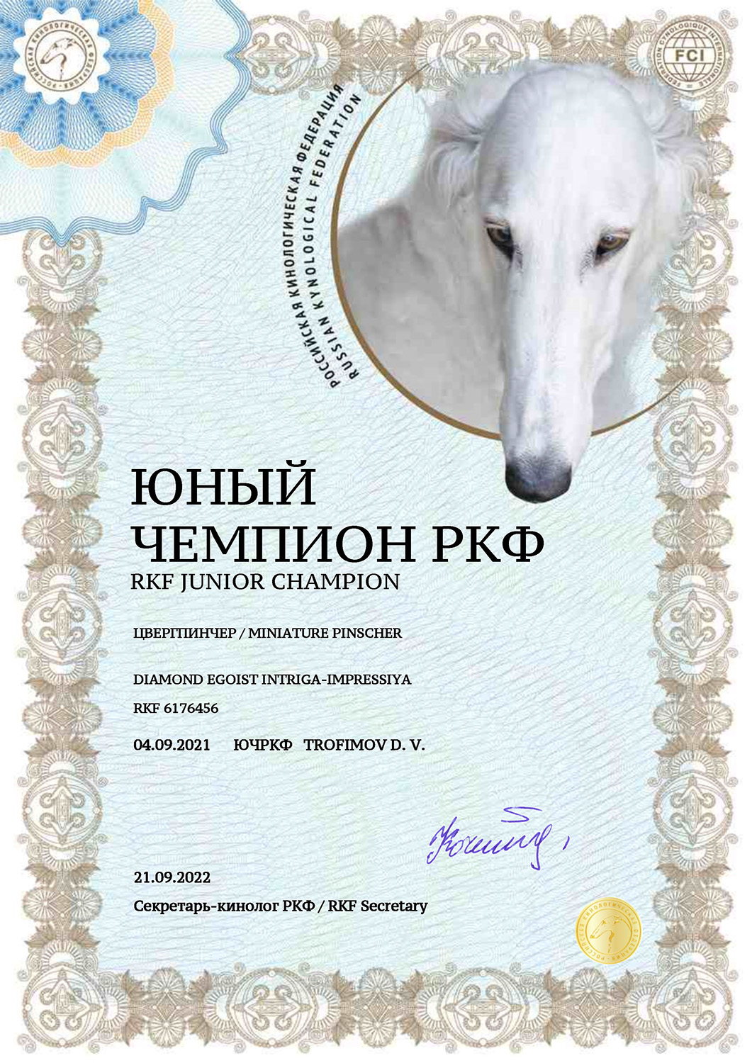 JChRKF 6176456