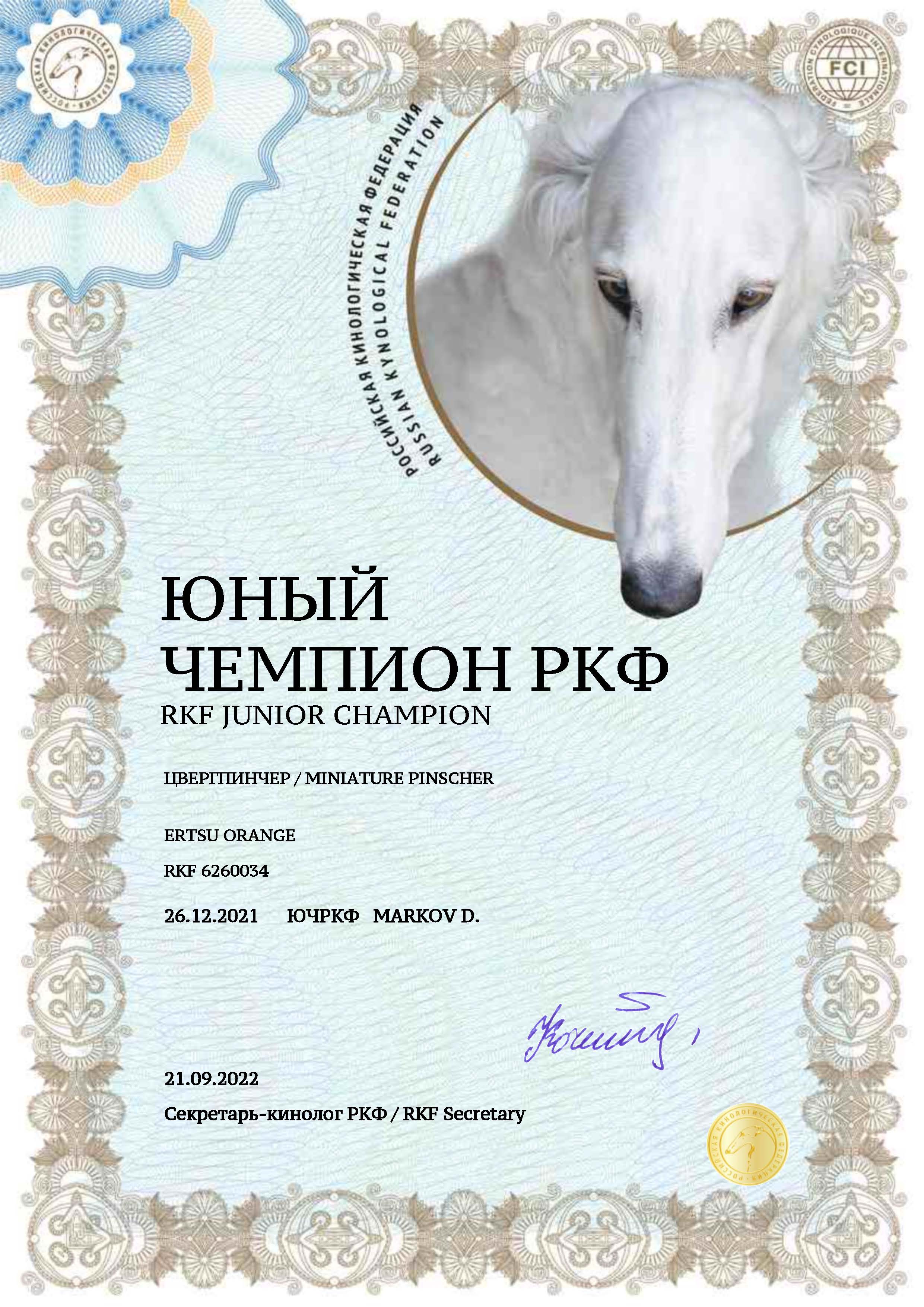 JChRKF 6260034