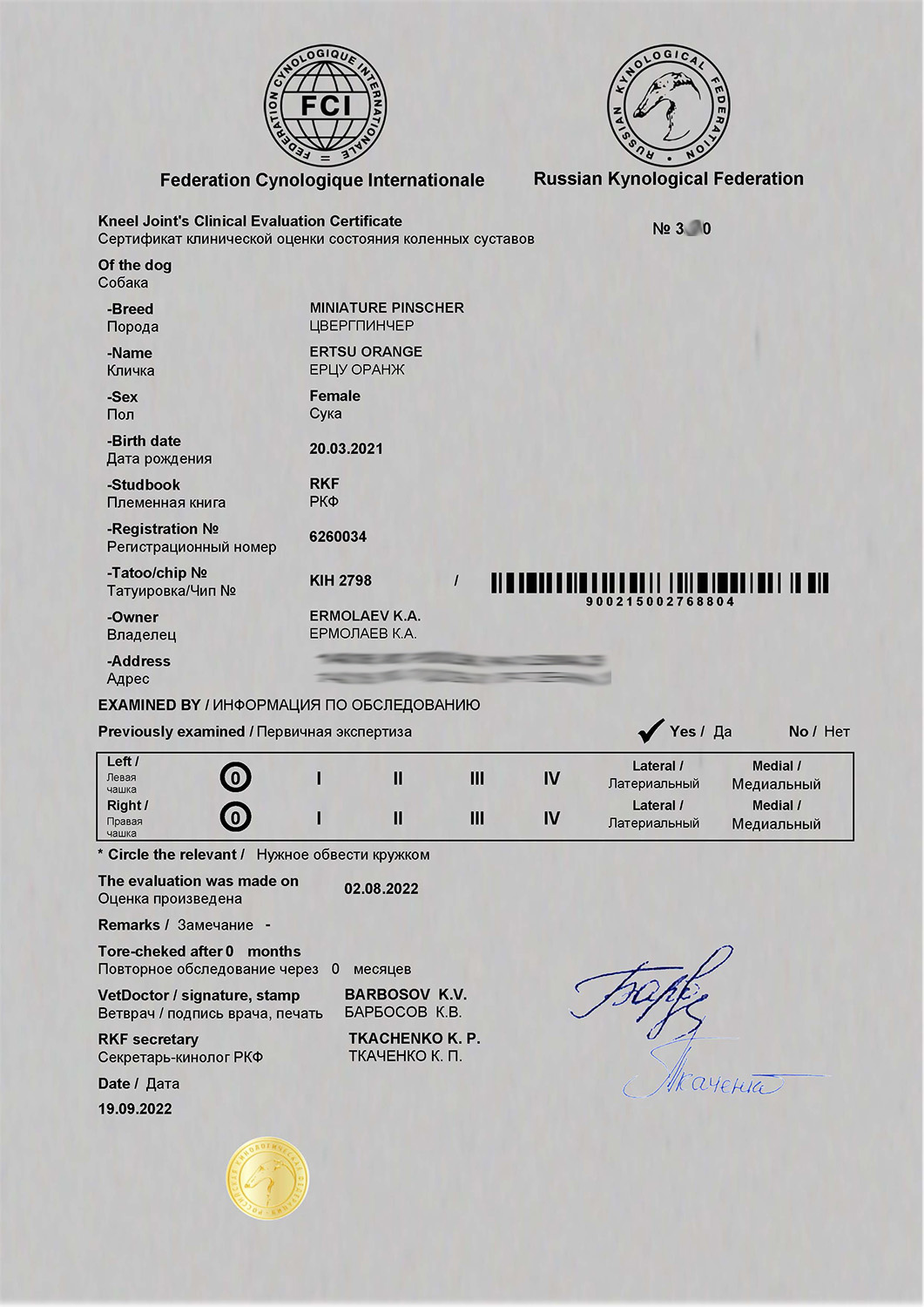 Cert PL 6260034