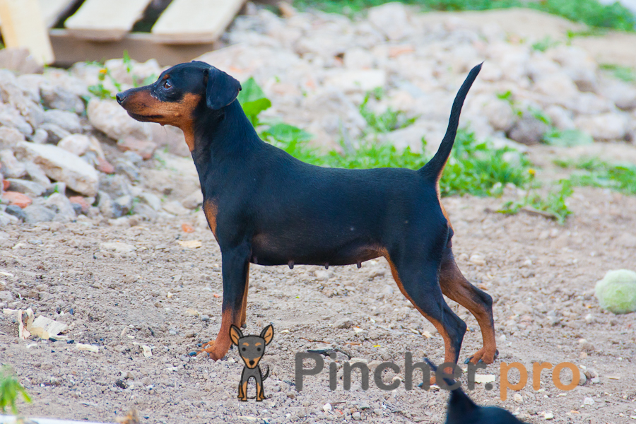 Tusia01 004