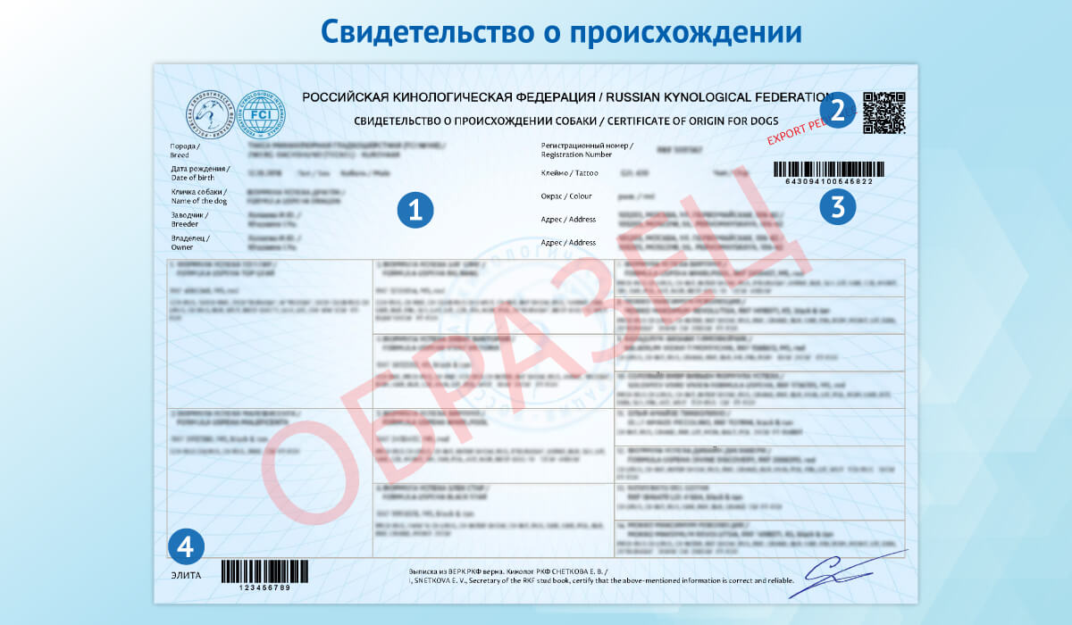Новые бланки племенных документов РКФ и пример заполнения заявления для их получения